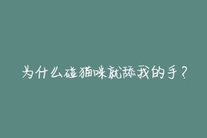 为什么碰猫咪就舔我的手？