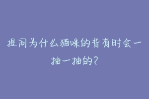 提问为什么猫咪的背有时会一抽一抽的？