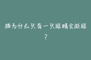 猫为什么只有一只眼睛会眨眼？