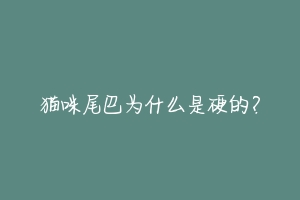 猫咪尾巴为什么是硬的？