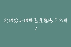 公猫给小猫舔毛是想吃了它吗？