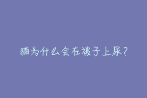 猫为什么会在被子上尿？