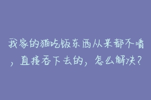 我家的猫吃饭东西从来都不嚼，直接吞下去的，怎么解决？