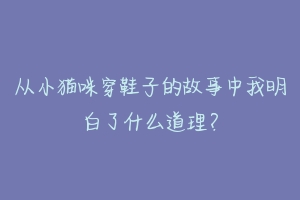 从小猫咪穿鞋子的故事中我明白了什么道理？