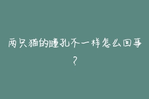 两只猫的瞳孔不一样怎么回事？