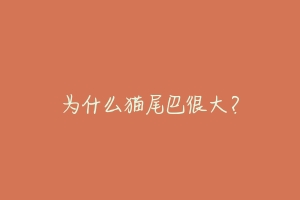 为什么猫尾巴很大？