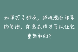 如果打了猫咪，猫咪现在非常的害怕，你怎么样才可以让它重新和好？