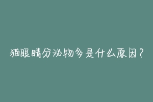 猫眼睛分泌物多是什么原因？