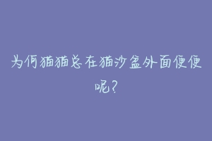 为何猫猫总在猫沙盆外面便便呢？