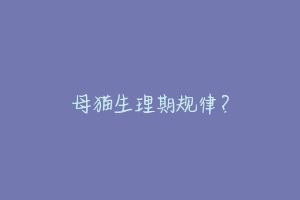 母猫生理期规律？