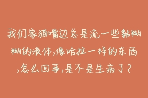 我们家猫嘴边总是流一些黏糊糊的液体,像哈拉一样的东西,怎么回事,是不是生病了？