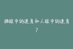 猫眼中的速度和人眼中的速度？