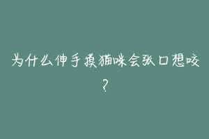 为什么伸手摸猫咪会张口想咬？