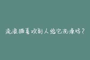 流浪猫喜欢别人给它洗澡吗？