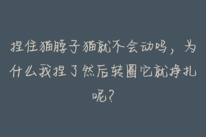 捏住猫脖子猫就不会动吗，为什么我捏了然后转圈它就挣扎呢？