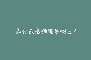 为什么活猫被吊树上？