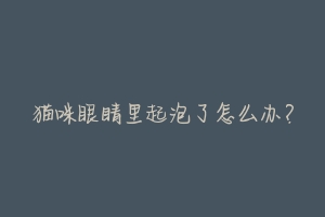 猫咪眼睛里起泡了怎么办？