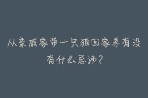 从亲戚家带一只猫回家养有没有什么忌讳？