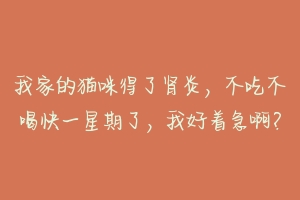 我家的猫咪得了肾炎，不吃不喝快一星期了，我好着急啊？