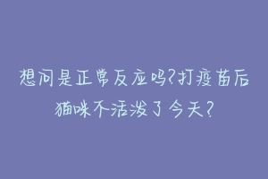 想问是正常反应吗?打疫苗后猫咪不活泼了今天？