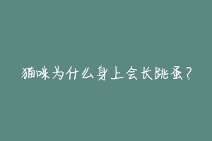 猫咪为什么身上会长跳蚤？