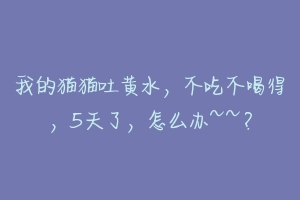 我的猫猫吐黄水，不吃不喝得，5天了，怎么办~~？