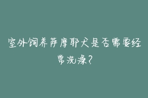 室外饲养萨摩耶犬是否需要经常洗澡？