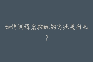 如何训练宠物蛙的方法是什么？