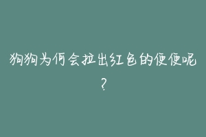 狗狗为何会拉出红色的便便呢？