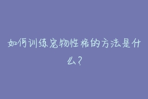 如何训练宠物性格的方法是什么？