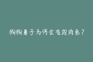 狗狗鼻子为何会变成肉色？