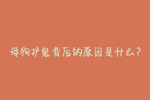 母狗护崽背后的原因是什么？