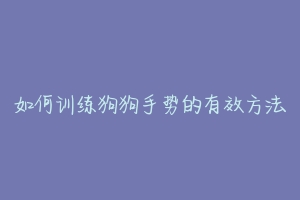 如何训练狗狗手势的有效方法