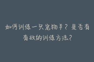 如何训练一只宠物羊？是否有有效的训练方法？