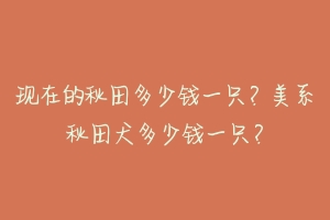 现在的秋田多少钱一只？美系秋田犬多少钱一只？