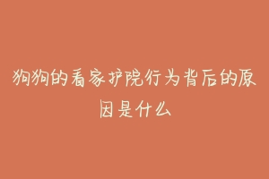 狗狗的看家护院行为背后的原因是什么