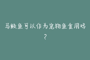 马鲛鱼可以作为宠物鱼食用吗？