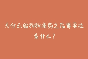 为什么给狗狗滴药之后需要注意什么？