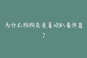 为什么狗狗总是喜欢趴着休息？