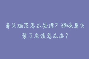 鼻头破皮怎么处理？猫咪鼻头裂了应该怎么办？