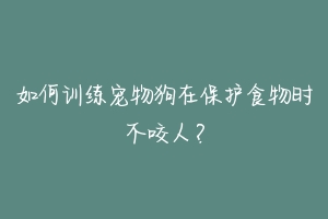 如何训练宠物狗在保护食物时不咬人？