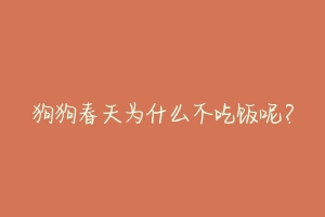 狗狗春天为什么不吃饭呢？