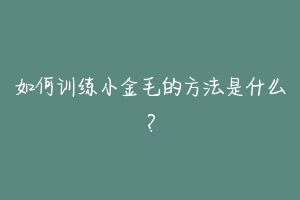 如何训练小金毛的方法是什么？