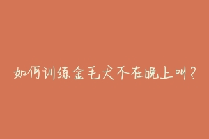 如何训练金毛犬不在晚上叫？