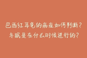 巴西红耳龟的病症如何判断？冬眠是在什么时候进行的？