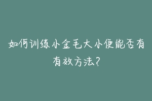 如何训练小金毛大小便能否有有效方法？