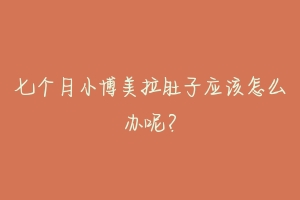 七个月小博美拉肚子应该怎么办呢？