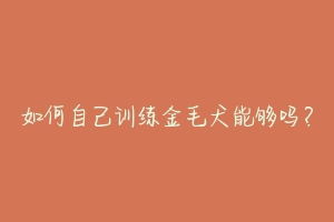 如何自己训练金毛犬能够吗？