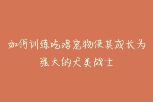 如何训练吃鸡宠物使其成长为强大的犬类战士