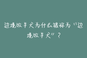 边境牧羊犬为什么被称为“边境牧羊犬”？